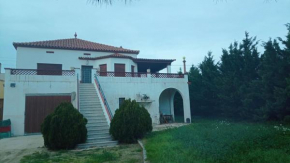 Horta del pi